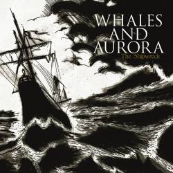 Whales And Aurora : The Shipwreck